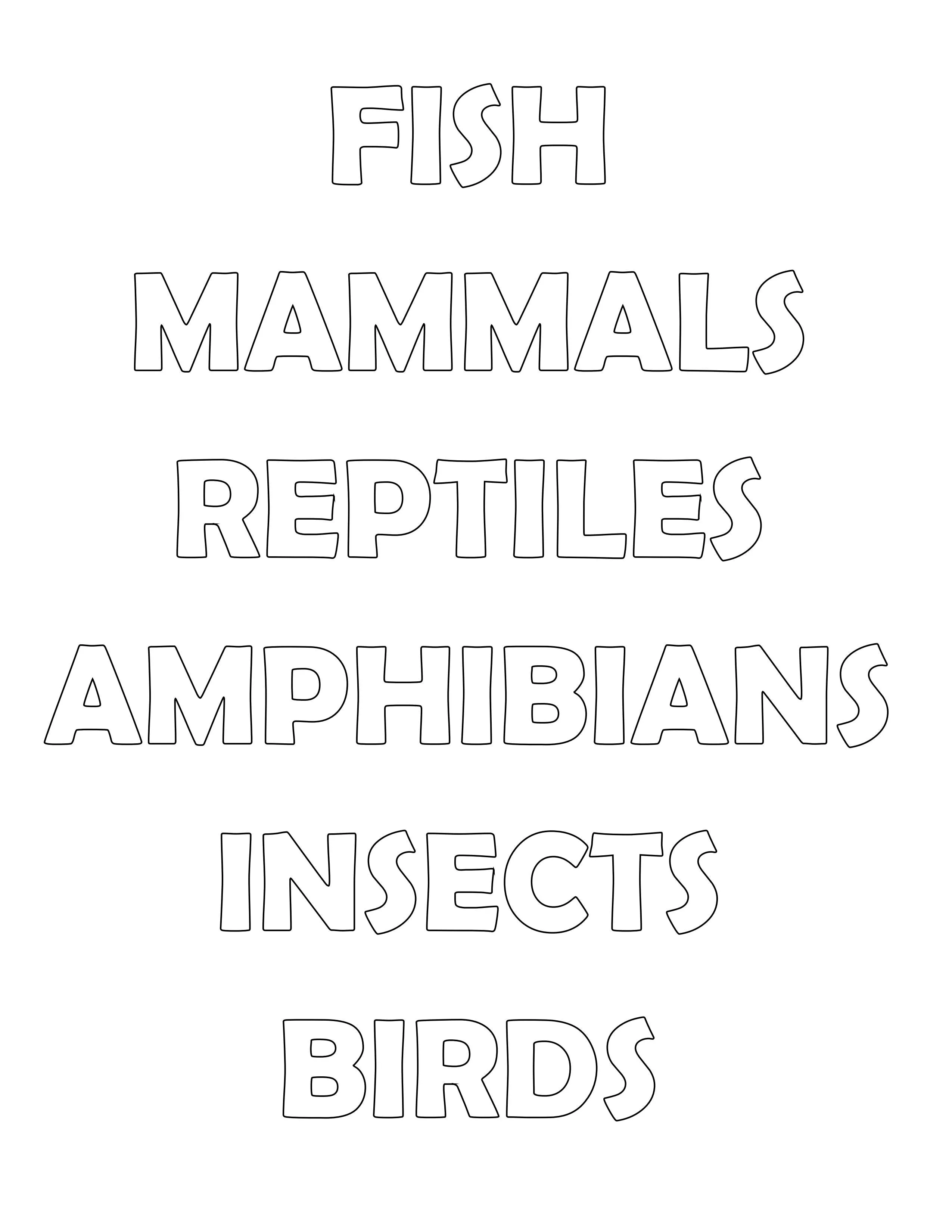 Animal Classification Activity Pack