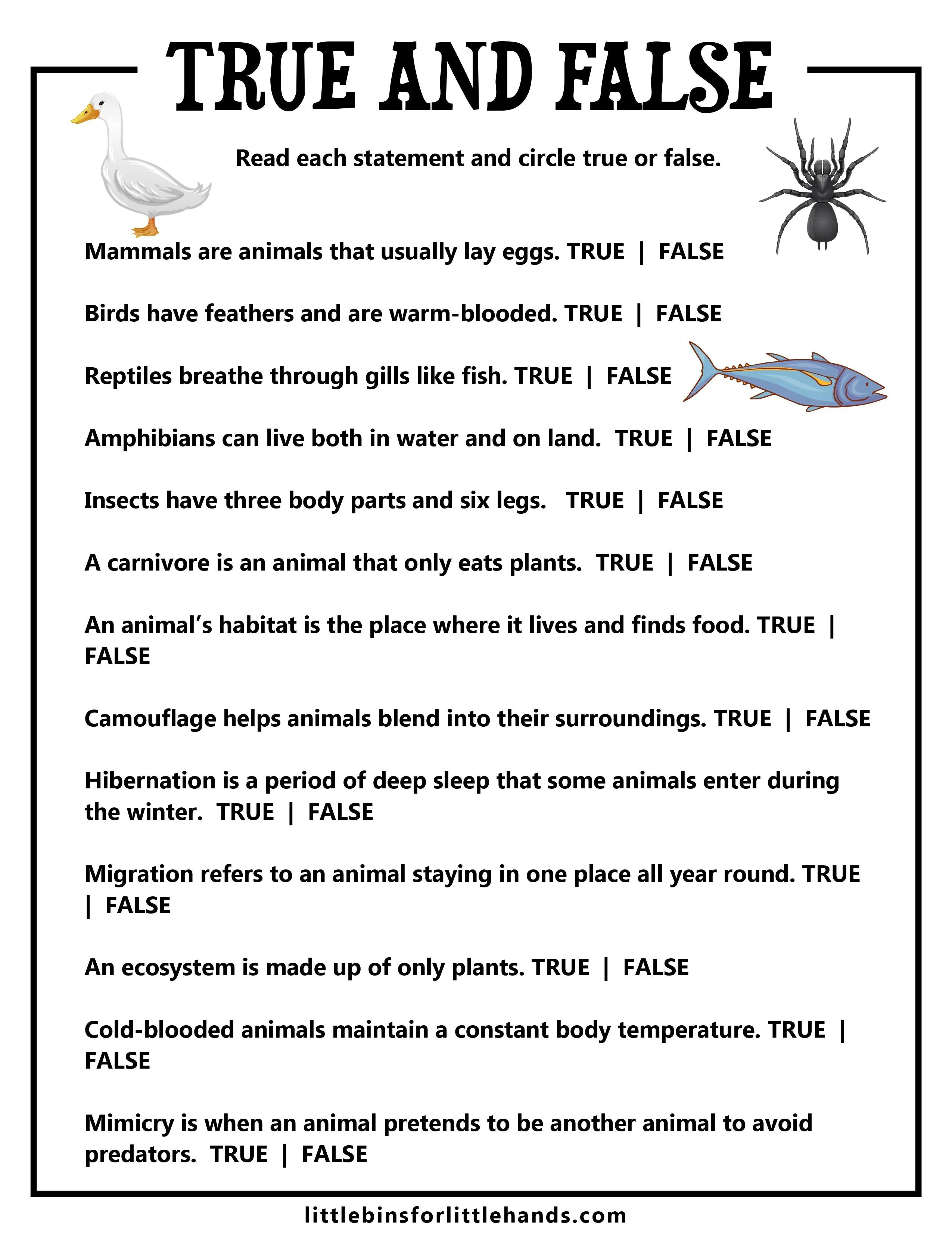 Animal Classification Activity Pack