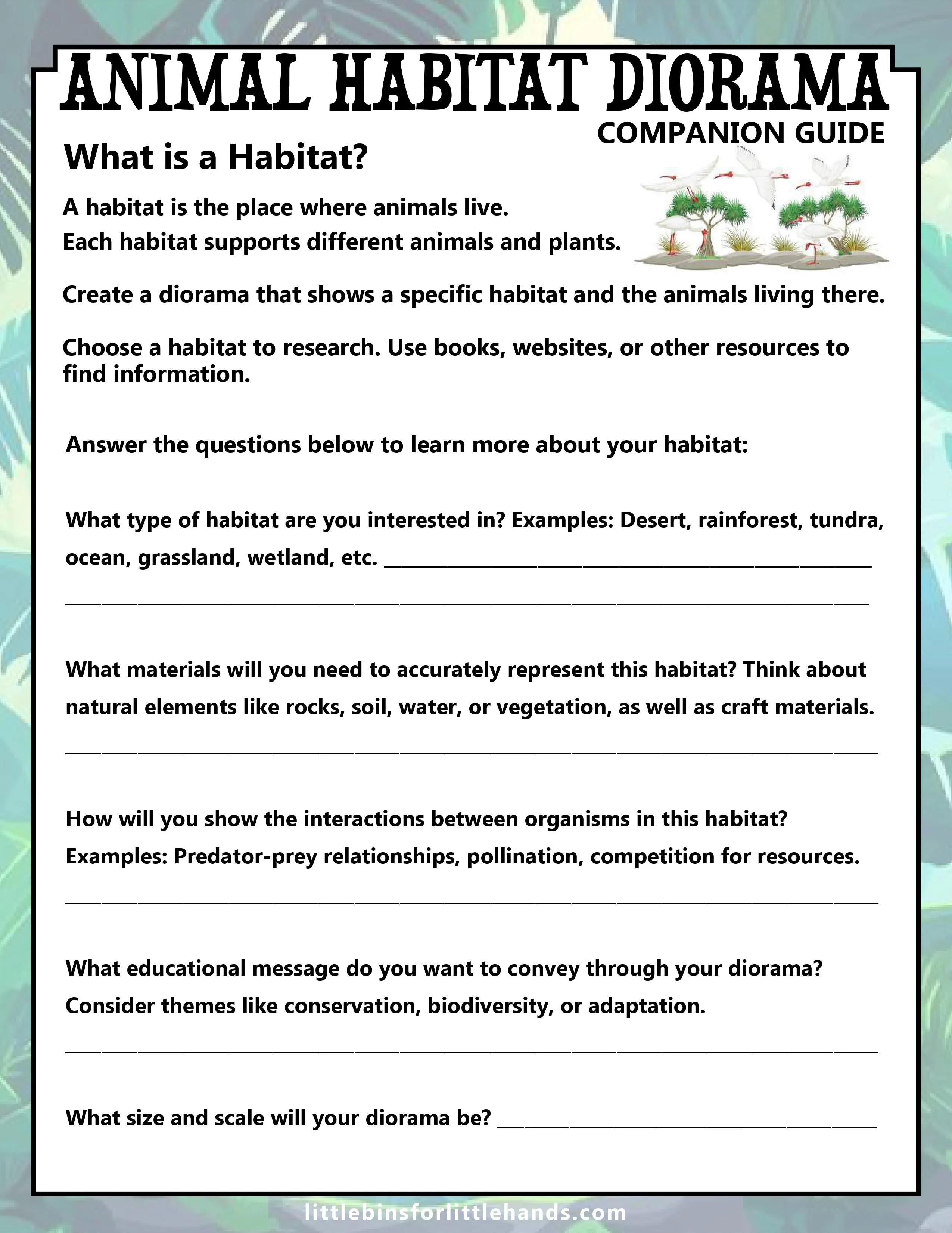 Animal Classification Activity Pack