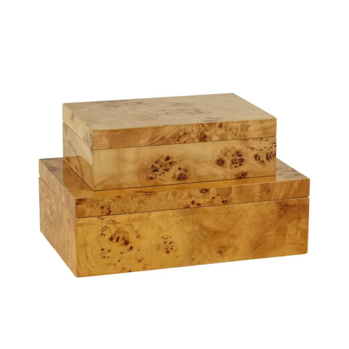 Burl Wood Box, Large