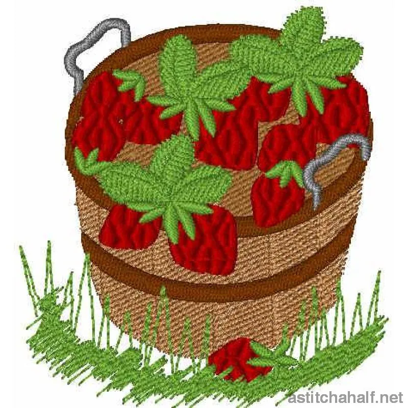 Our Herb Garden