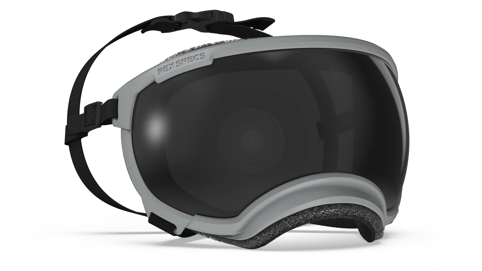 Rex Specs V2 Gallatin Grey Frame