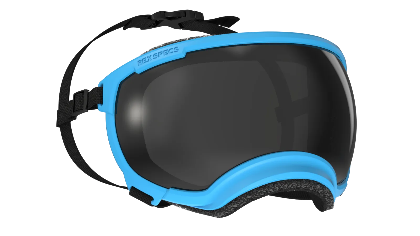 Rex Specs V2 Goggle Neon Blue Frame