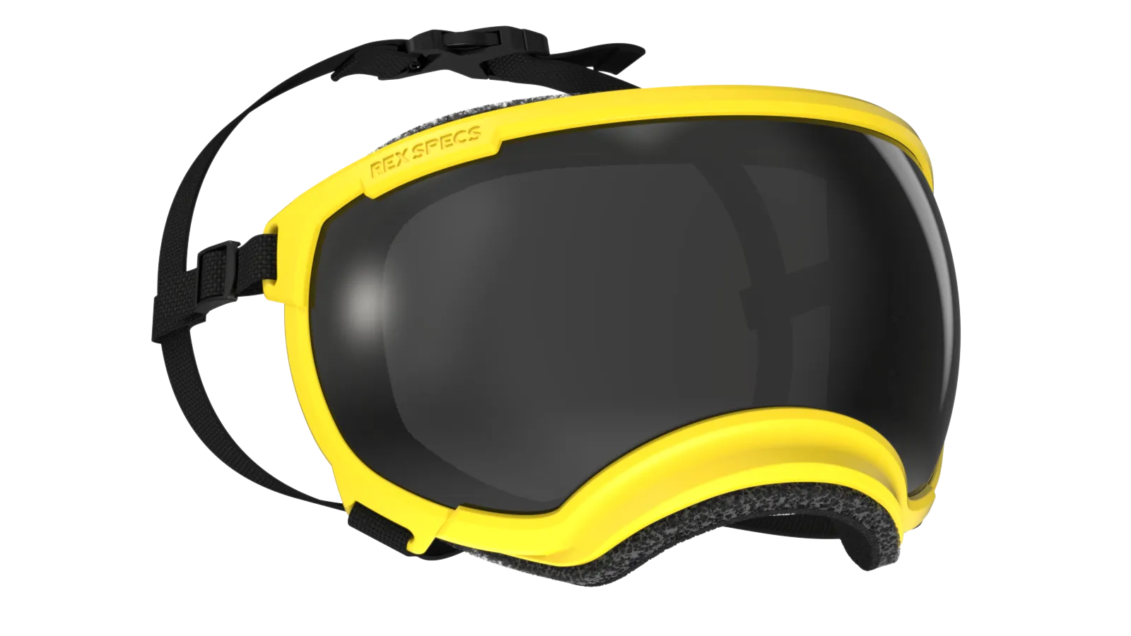 Rex Specs V2  Goggle  Neon Yellow  Frame
